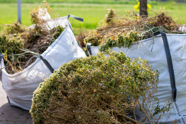 Best Hoarding Cleanup  in Miramar, FL